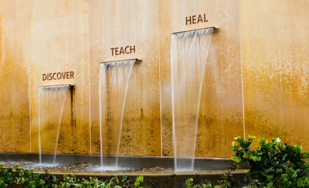 The Discover. Teach. Heal. fountain